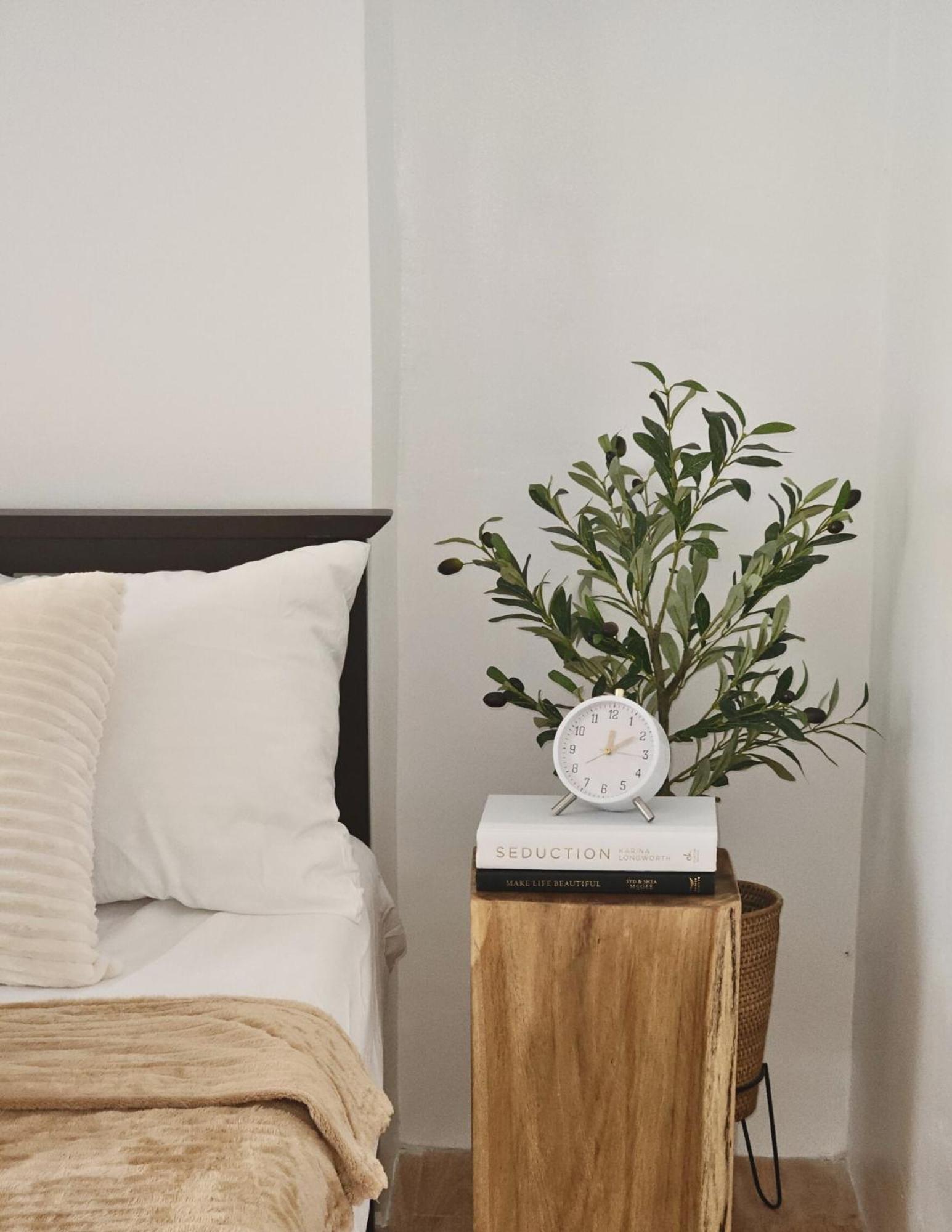 The Traveller'S Haven Airbnb Cebu Екстериор снимка